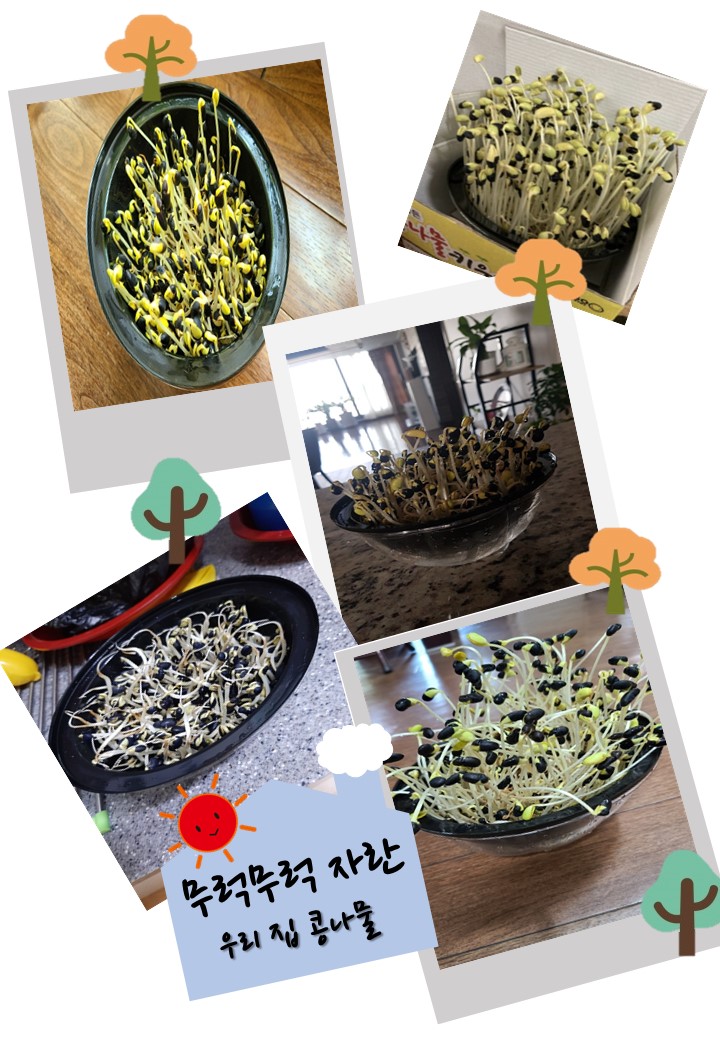 집콕생활3